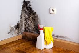 Mold Remediation